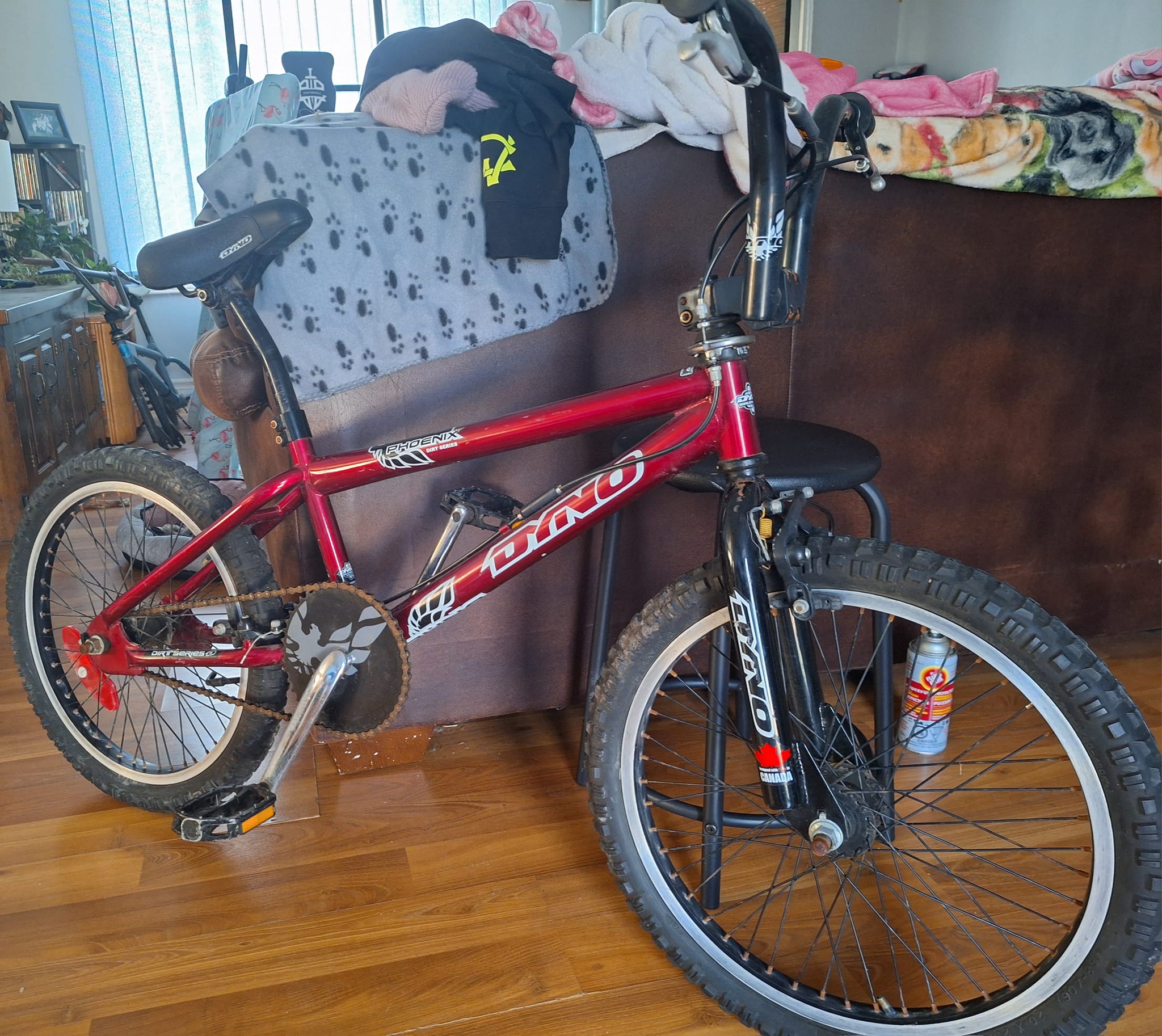 Dyno Phoenix dirt jumper for old school BMX