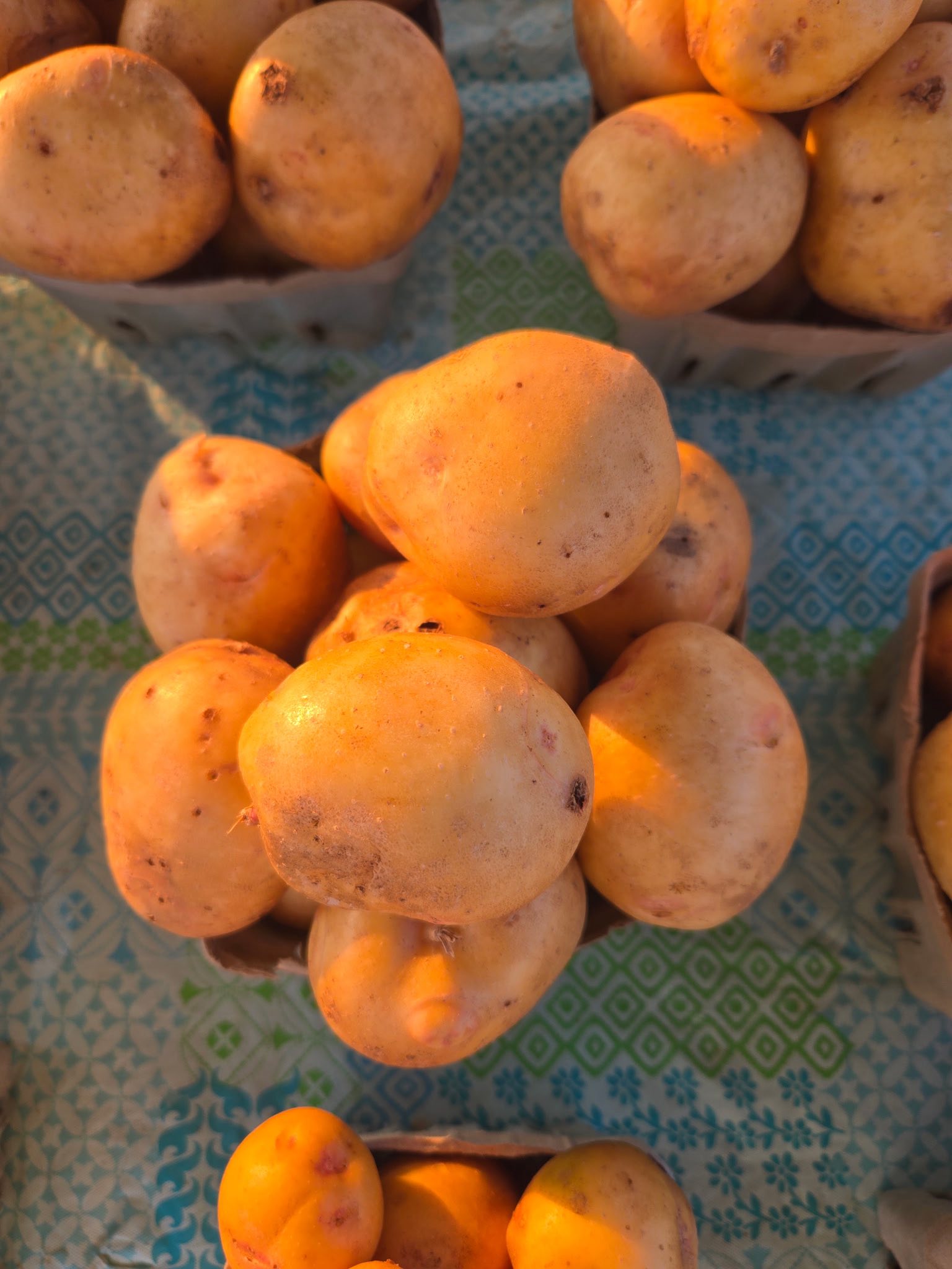 Fort Smith... - Fort Smith Farmer's Market on Garrison Avenue