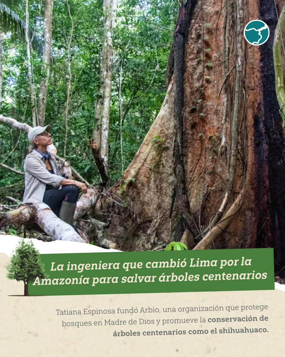 Inforegión - 🌳 Hoy, en el Día del Árbol, celebramos la labor de quienes ...