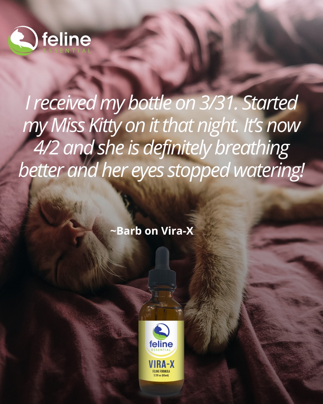 Feline Essential