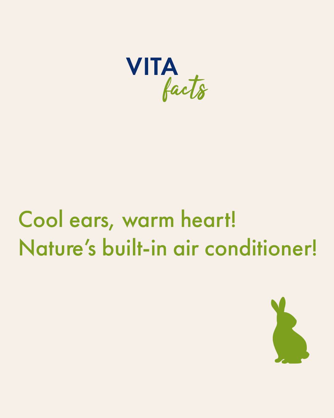 Vitakraft Products - Beirut Lebanon - Ever wondered how rabbits stay ...