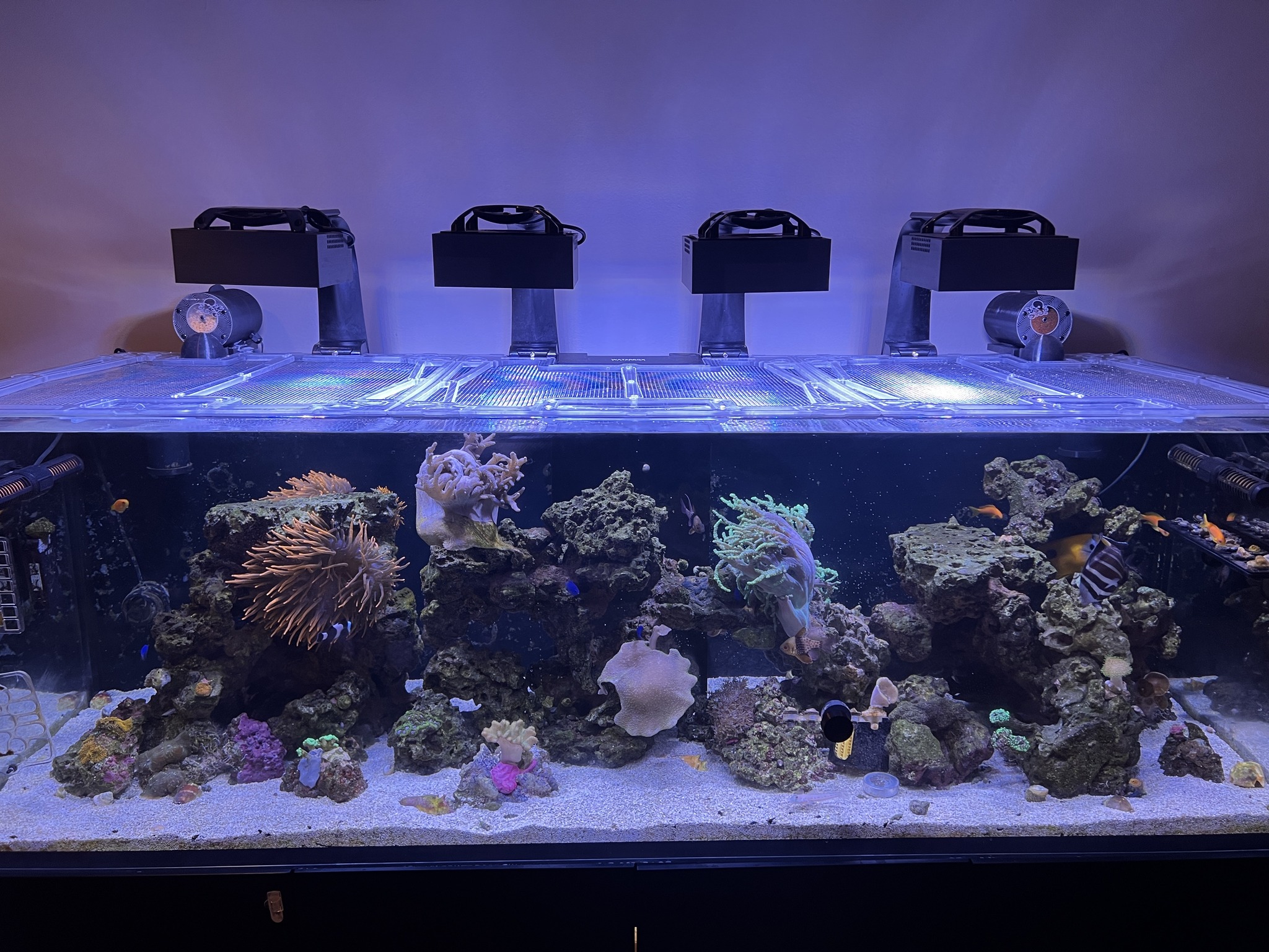 Reef eScape - Reef eScape added a new photo — at Reef eScape.