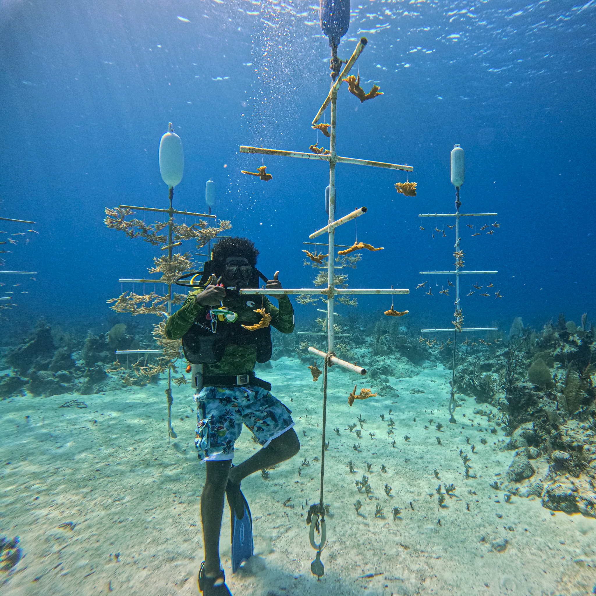 Reef Rescue Network