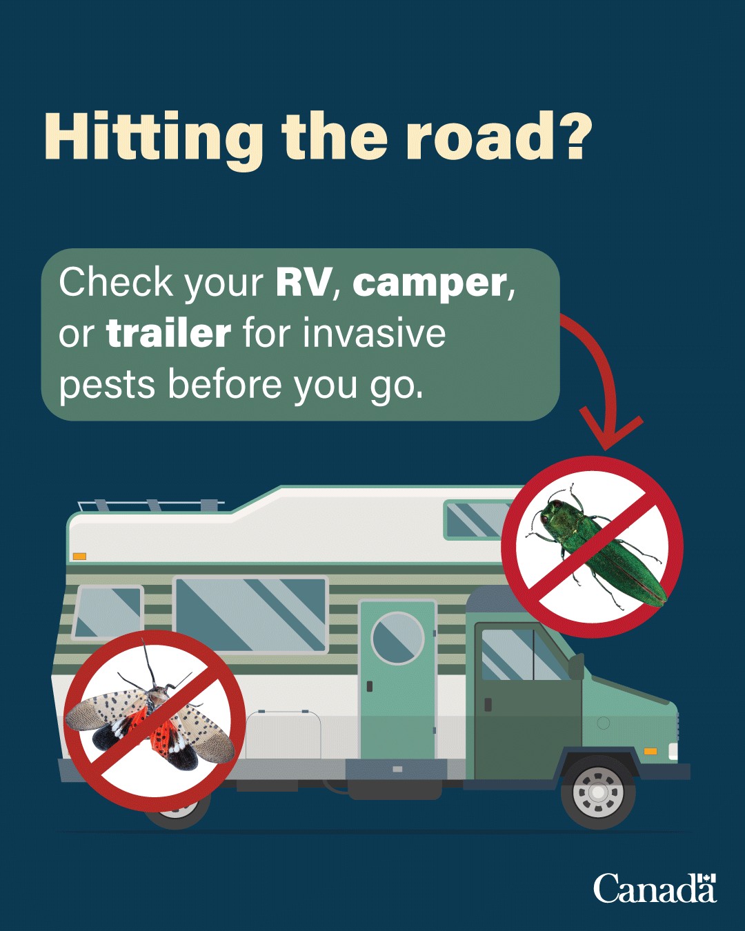 Canadian - 🚐 Invasive pests can travel when you do – don’t let these ...
