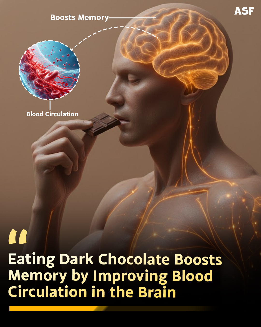 Amazing - Dark chocolate is rich in cocoa flavanols, compounds known to ...