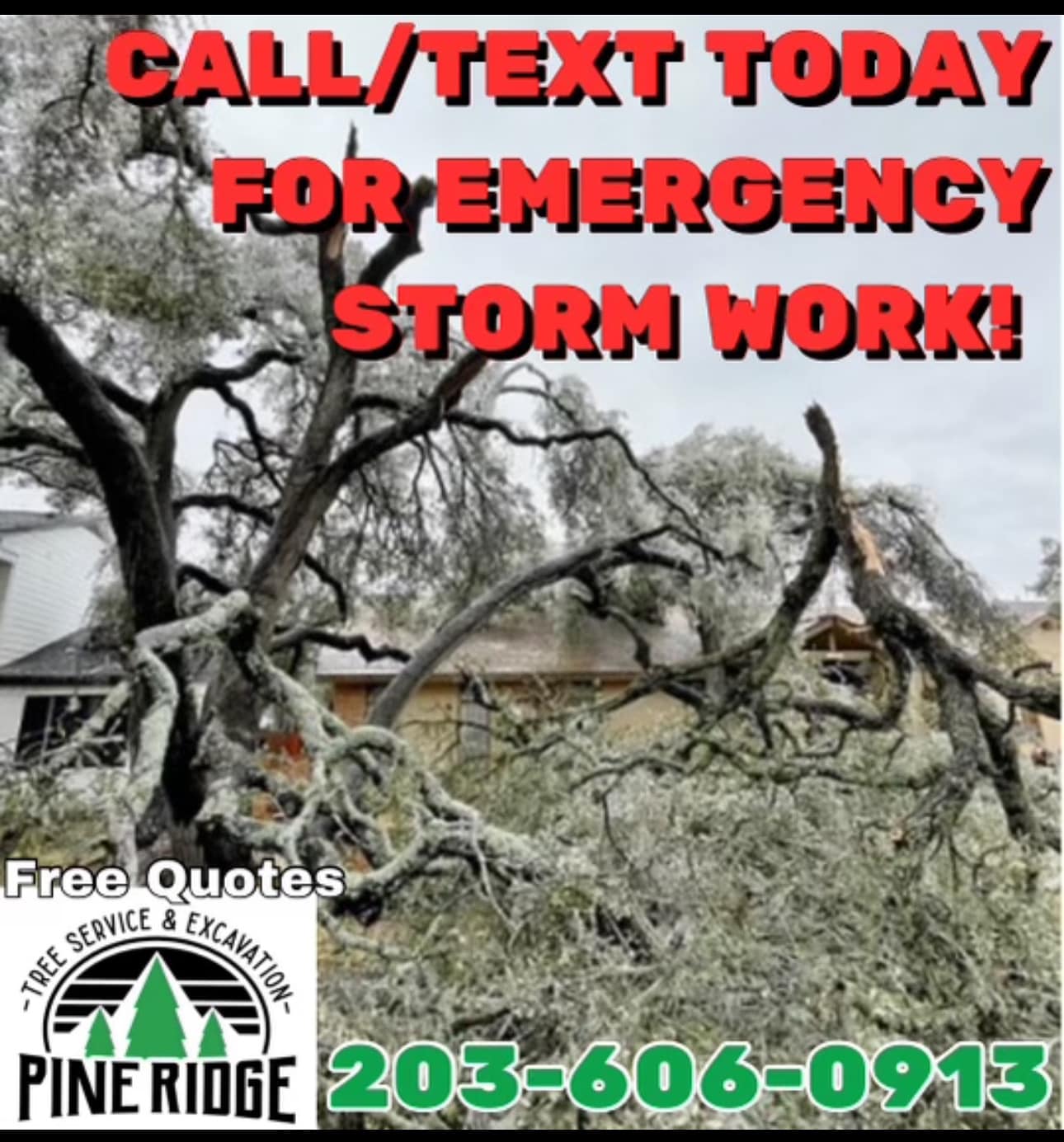 Pine Ridge Tree & Excavation CT | Naugatuck CT
