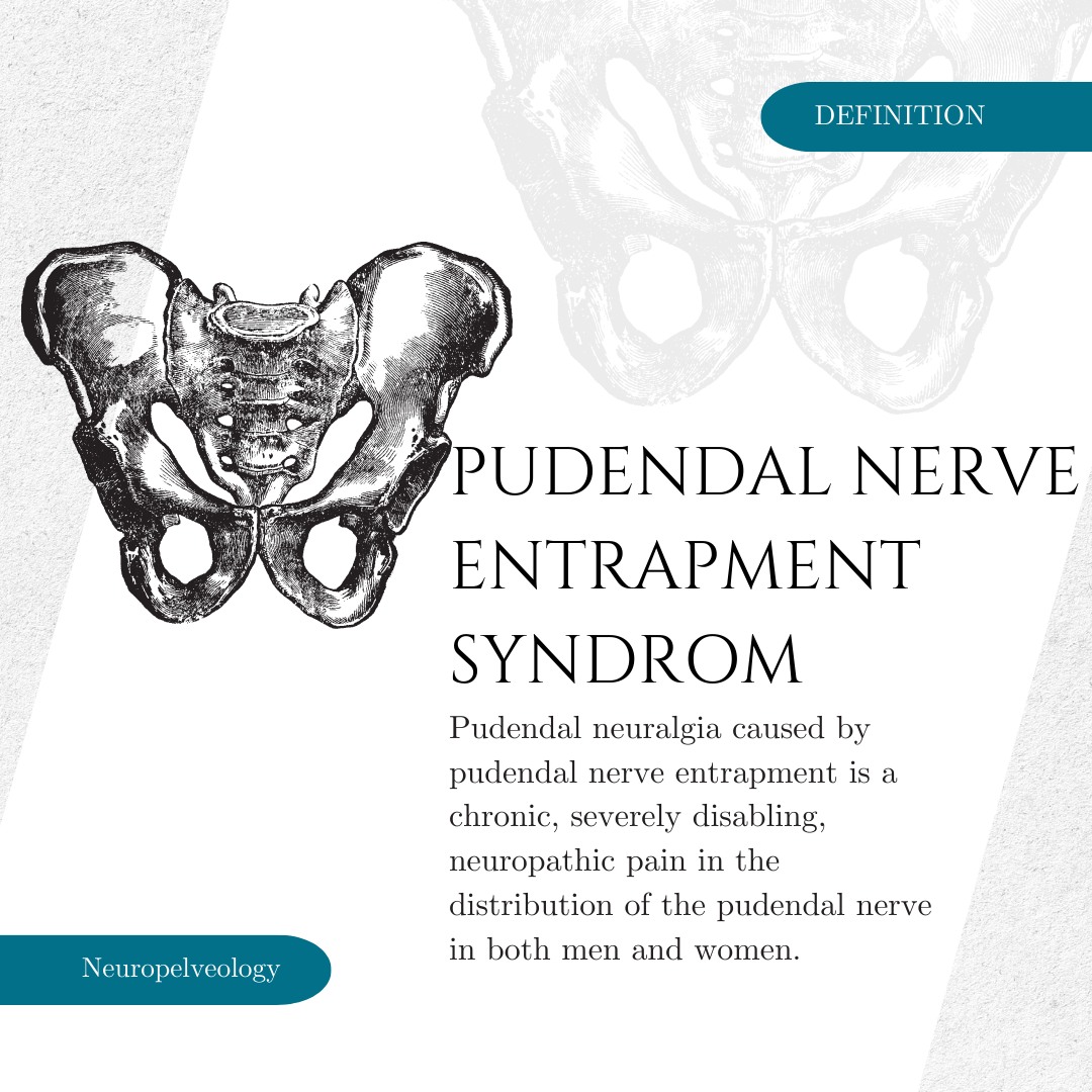 Beautiful Pudendum Definition