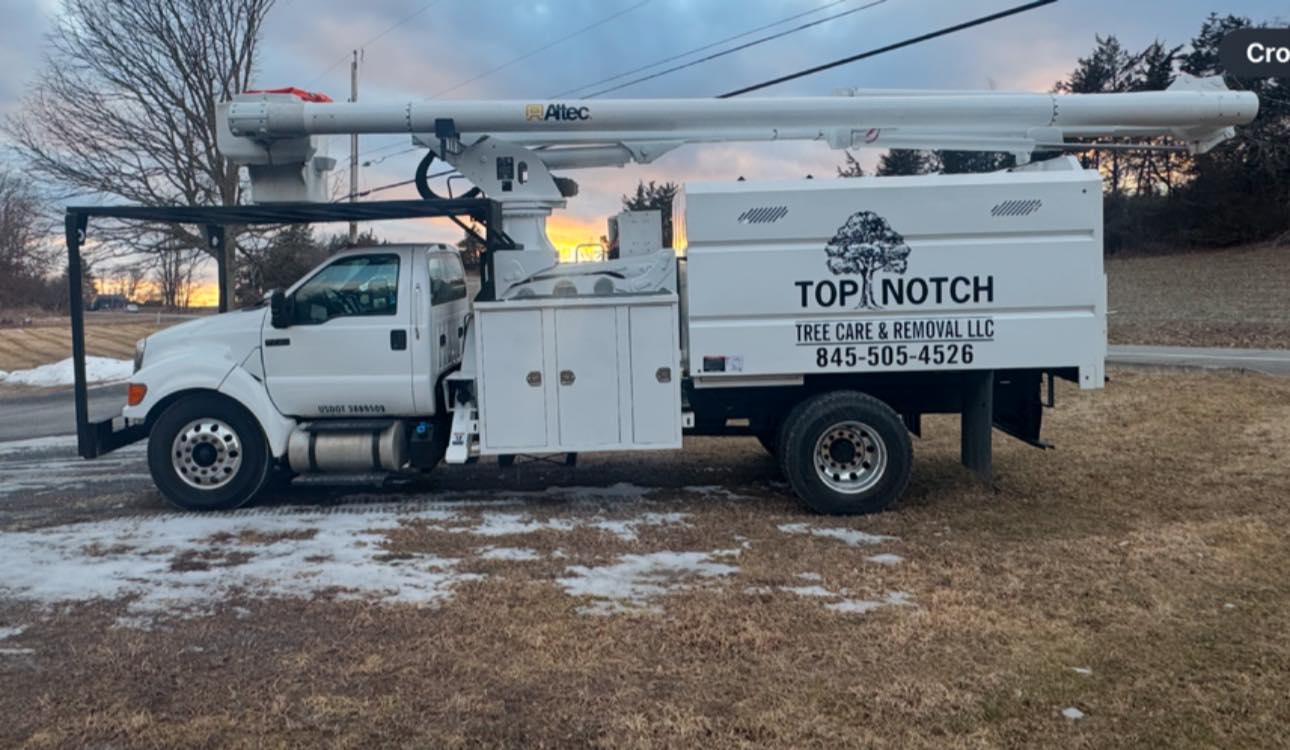 Top Notch Tree Care & Removal | Catskill NY