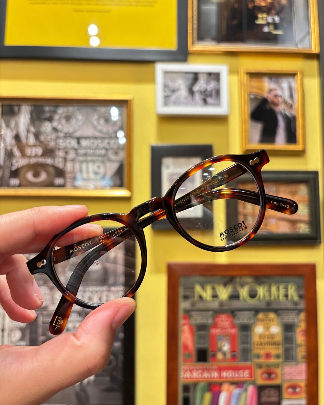 Introducing The NEW Limited Edition Collection for MOSCOT Yokohama