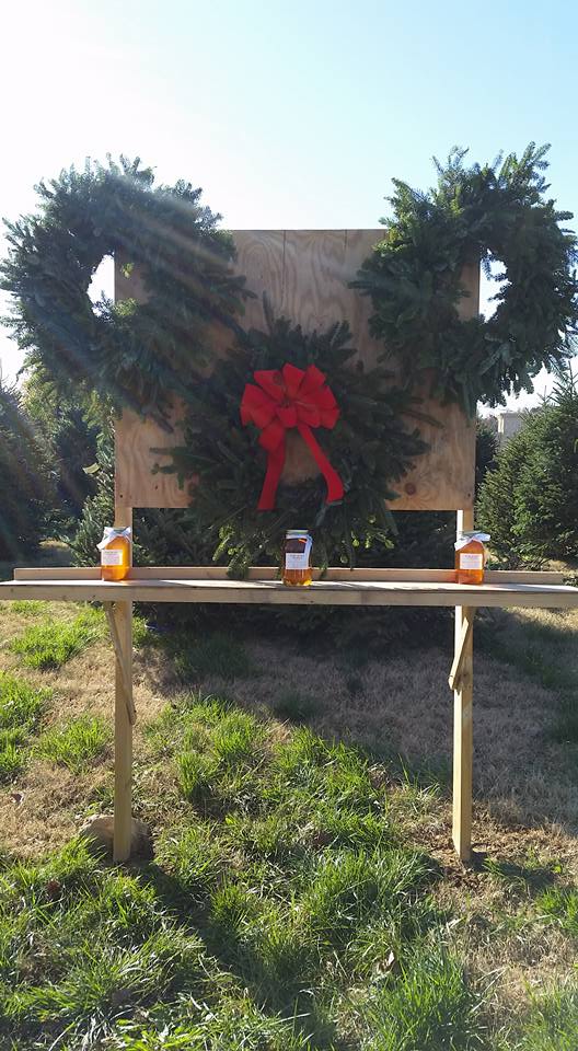 Elk Mountain Christmas Tree Farm | Newland NC