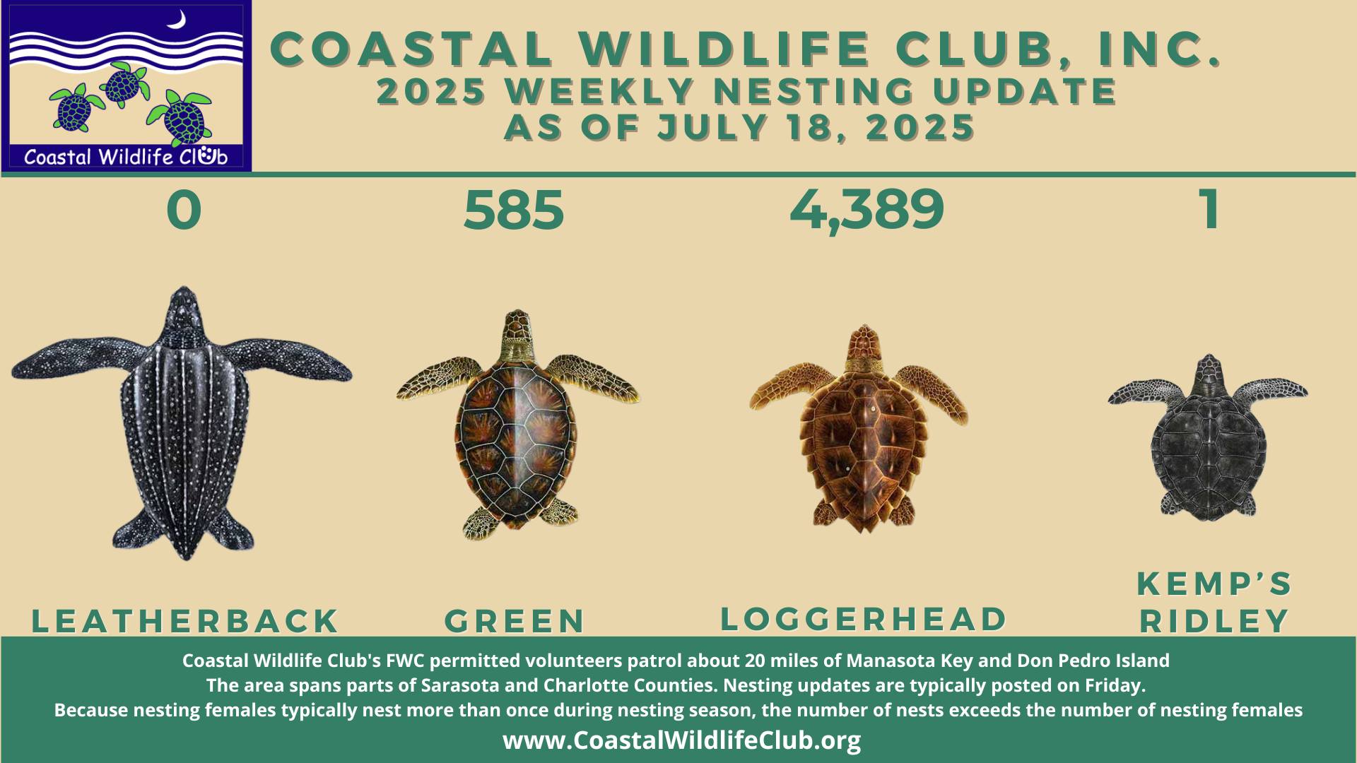 Coastal - Sea Turtle Nesting Update July 18, 2025 The sea turtle ...