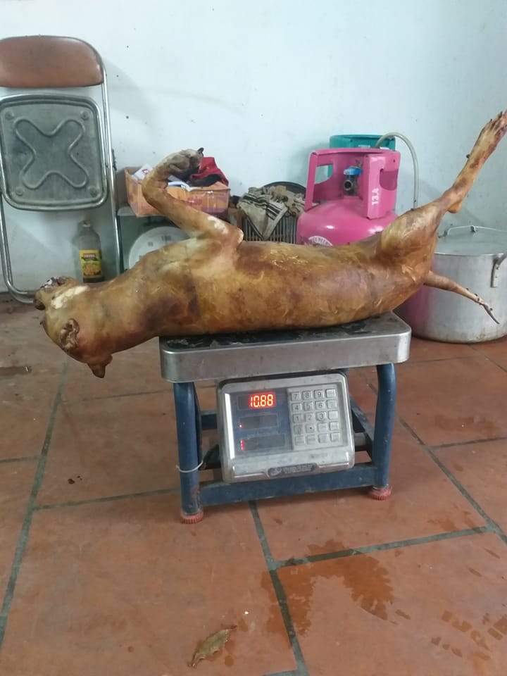 Hội chó quay, chó thui rơm. | Facebook
