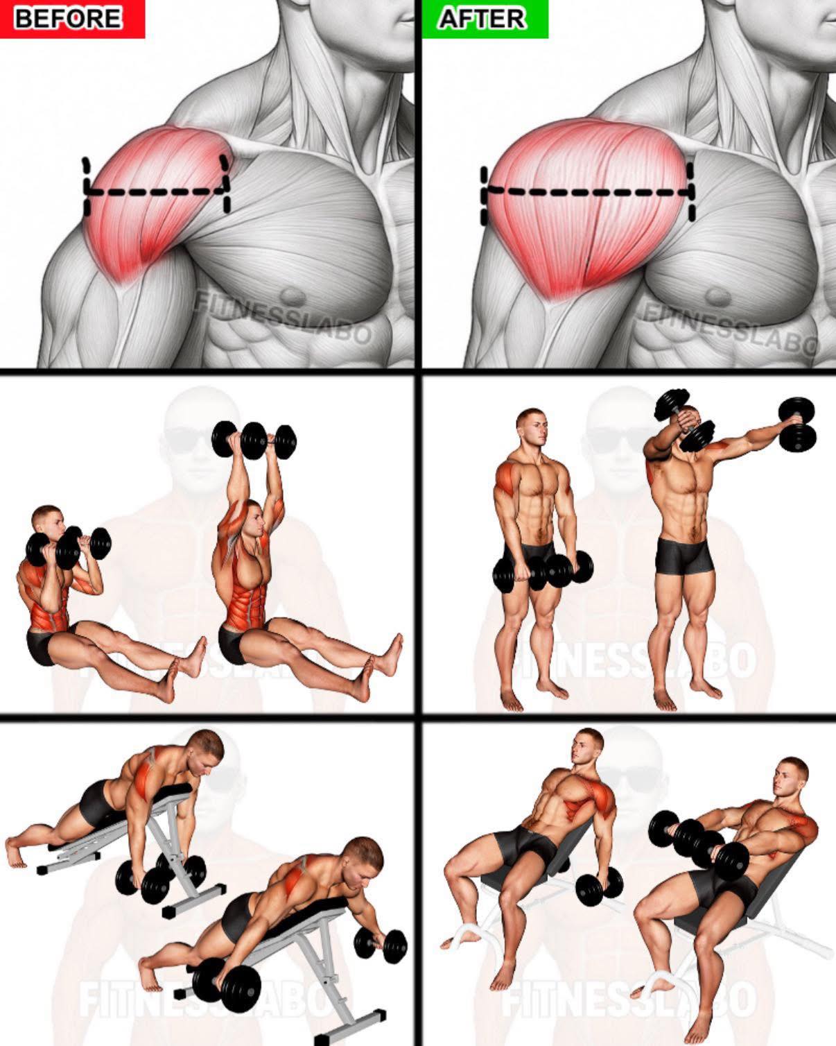AeFitness-Hà - Dumbbell Shoulder Exercises ① Z-Press ② Y-Raise ③ ...
