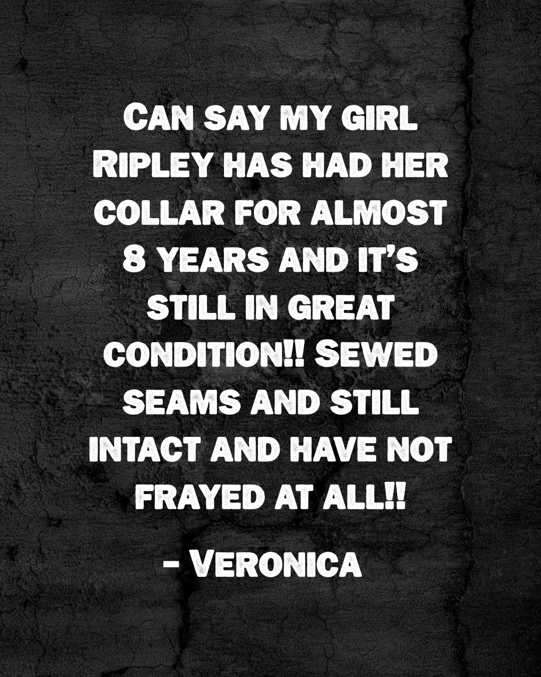 Tactipup - Tactipup added a new photo.