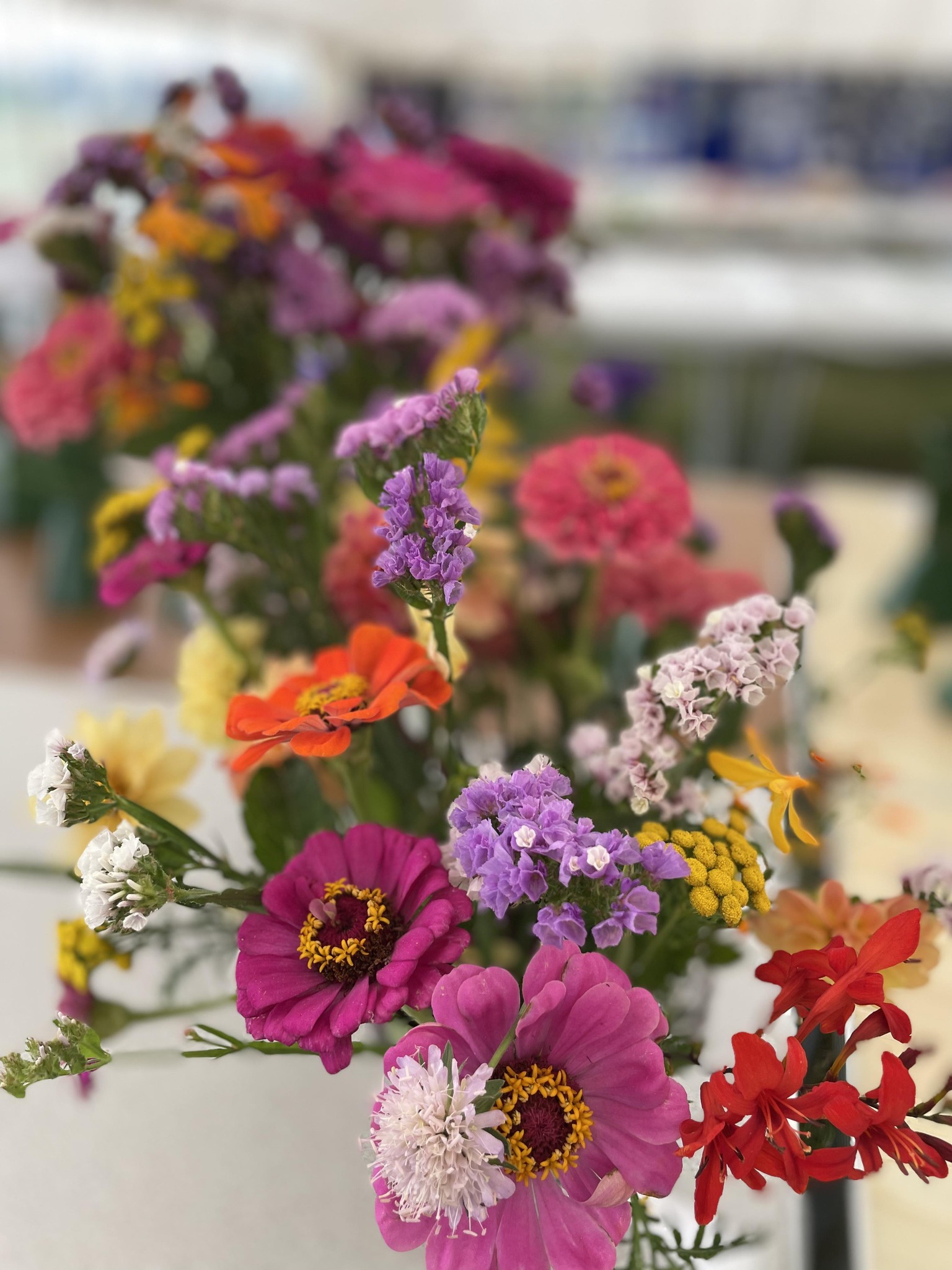 Doddington Village Summer Show | Doddington