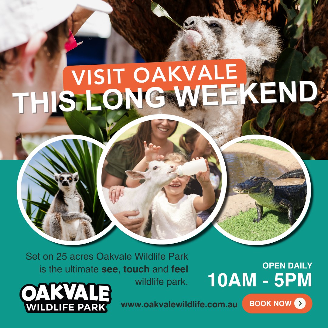 Oakvale - 🐨 Make the most of the long weekend at Oakvale Wildlife Park ...