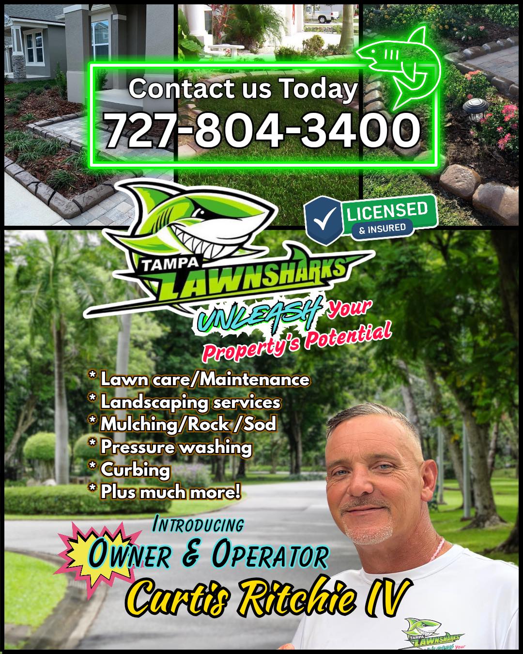 Tampa Tree Sharks | Saint Petersburg FL