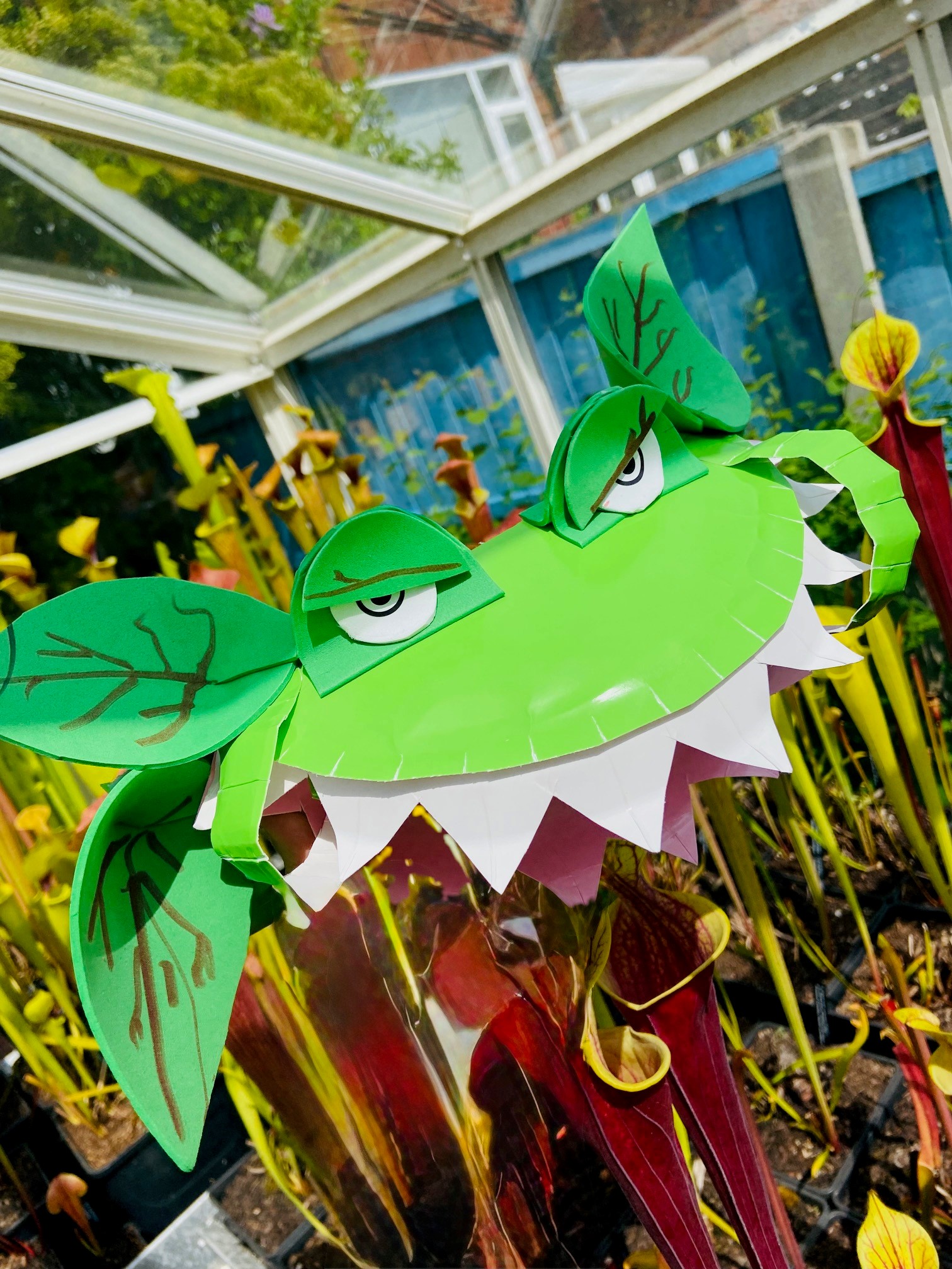 Tameside - Beware! The Invasion of Carnivorous Plant Puppets is at ...