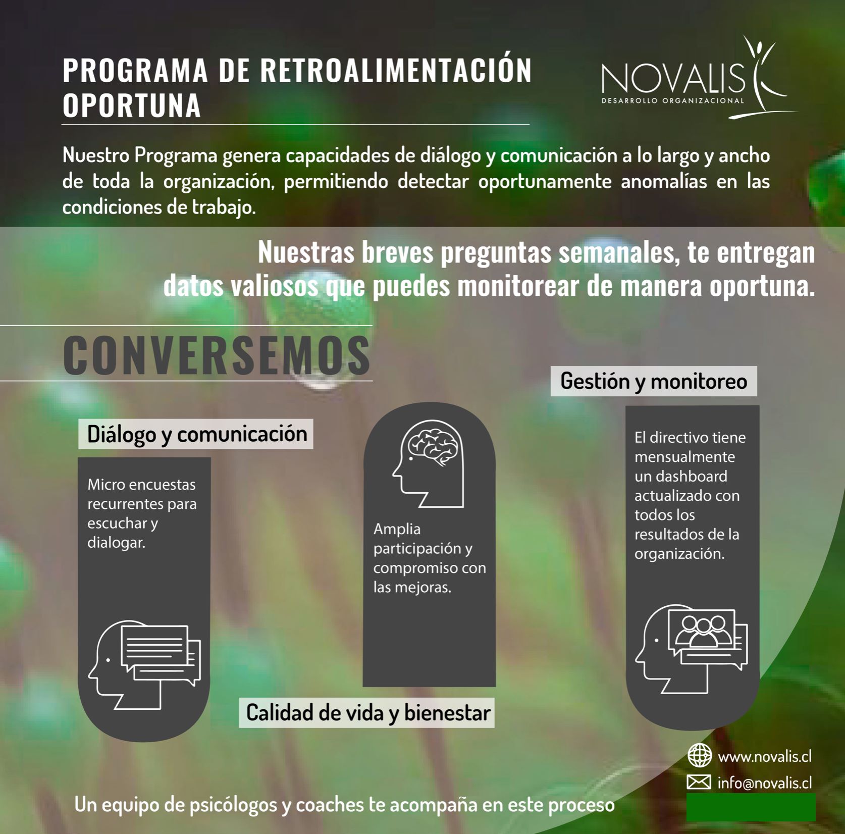 Novalis