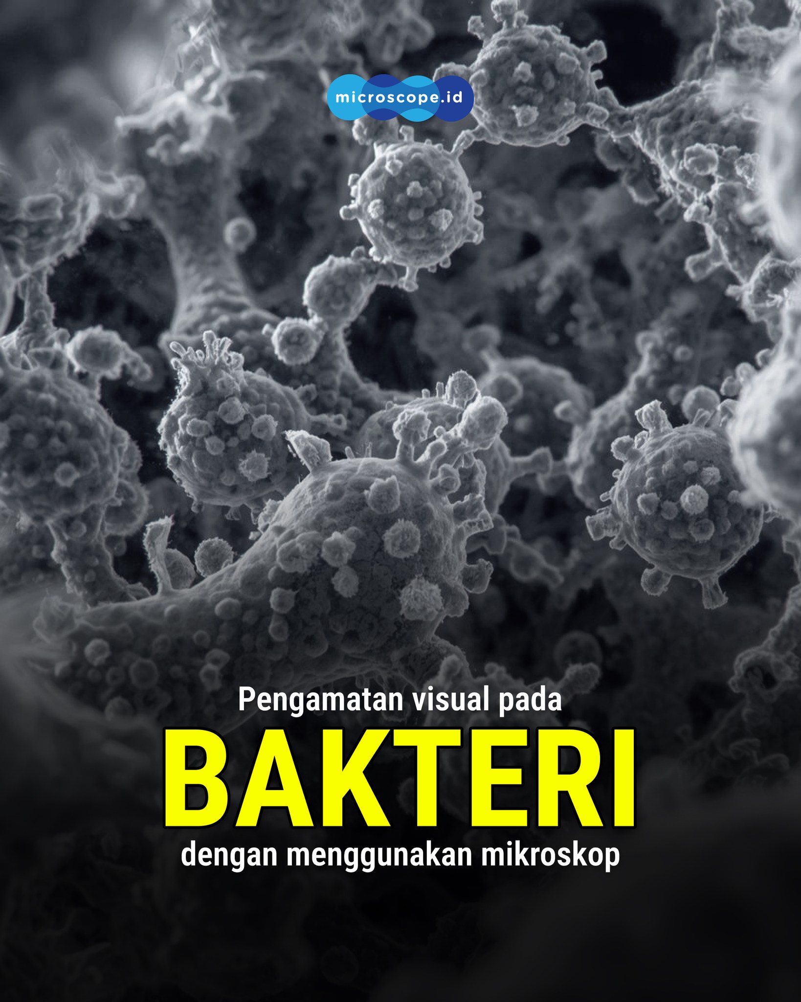 Microscope.id