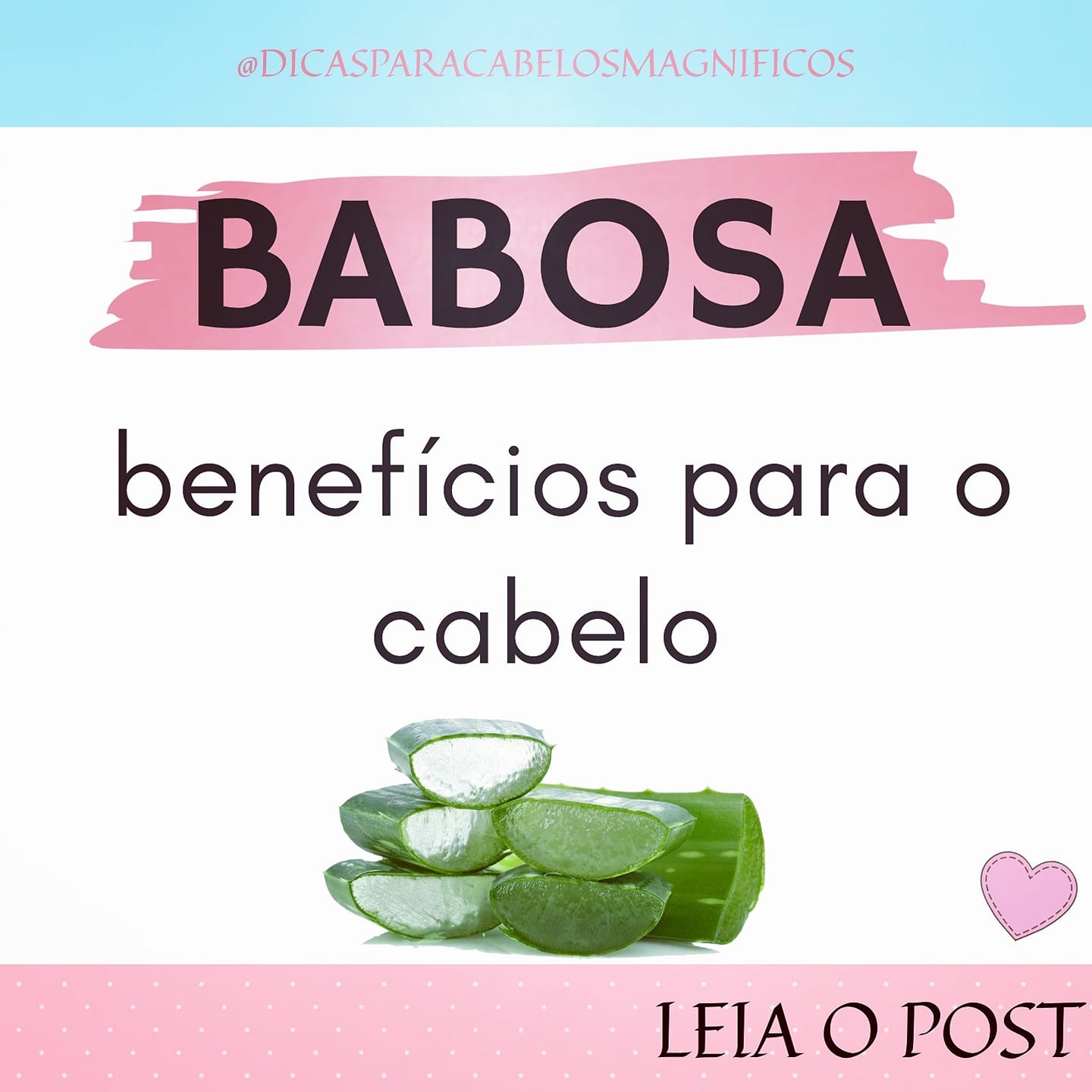 Dicas para Cabelos Magníficos - ️ O3 formas que a babosa pode ser usada ...