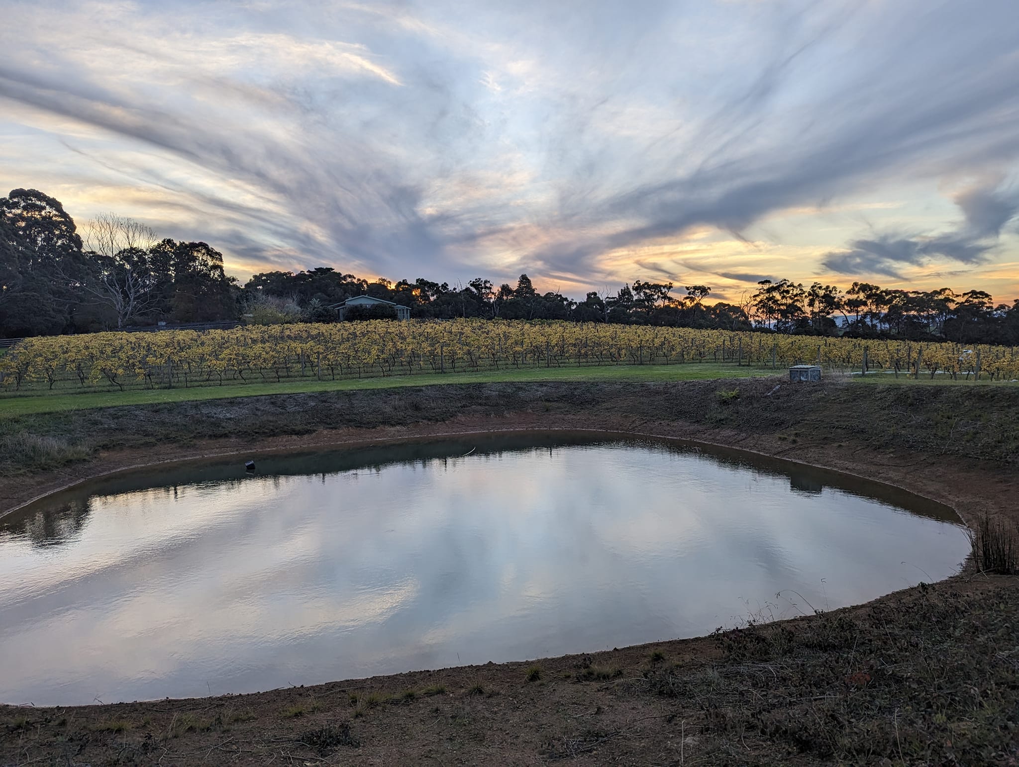 Ripplebrook Winery | Ripplebrook VIC