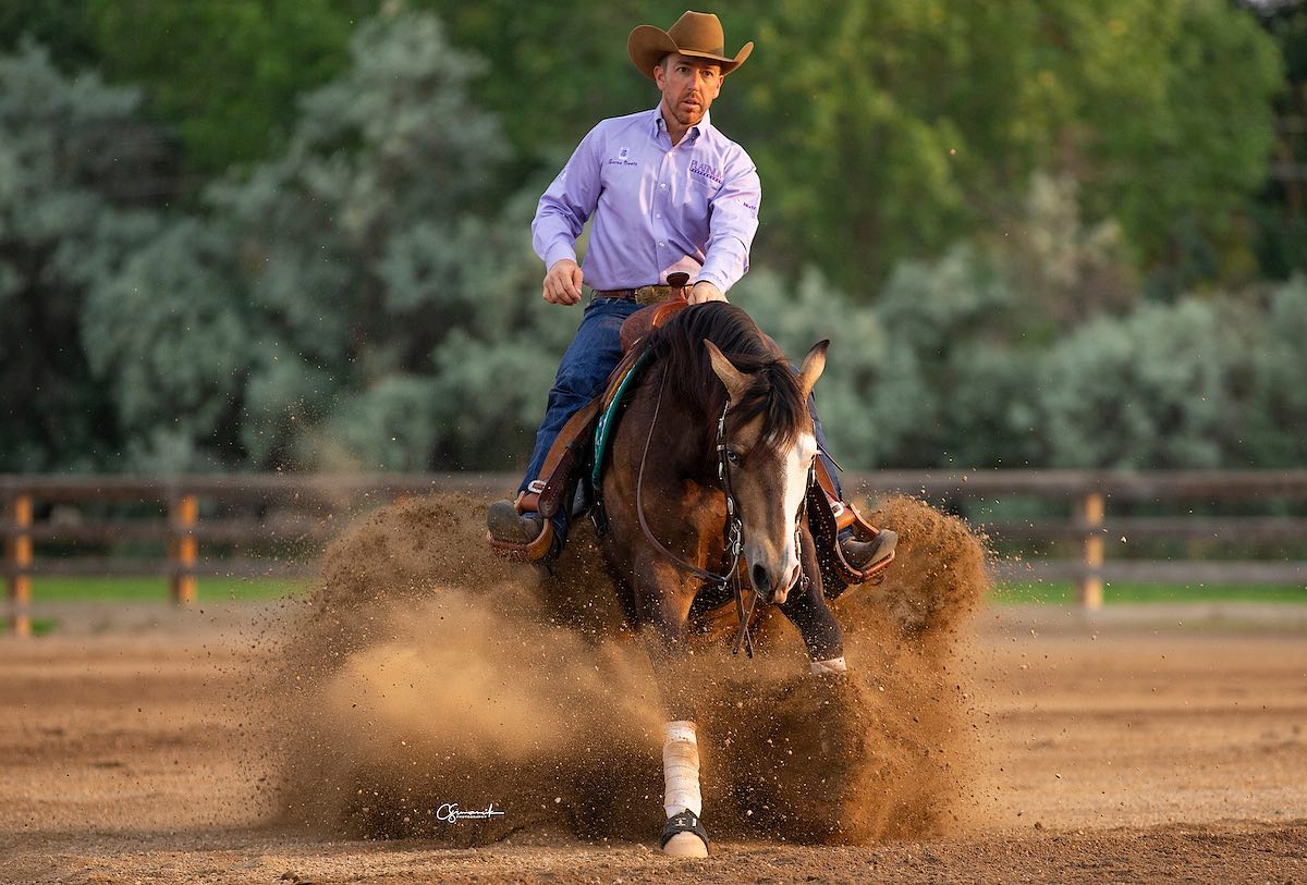 Ryan Rushing Performance Horses | Fort Collins CO