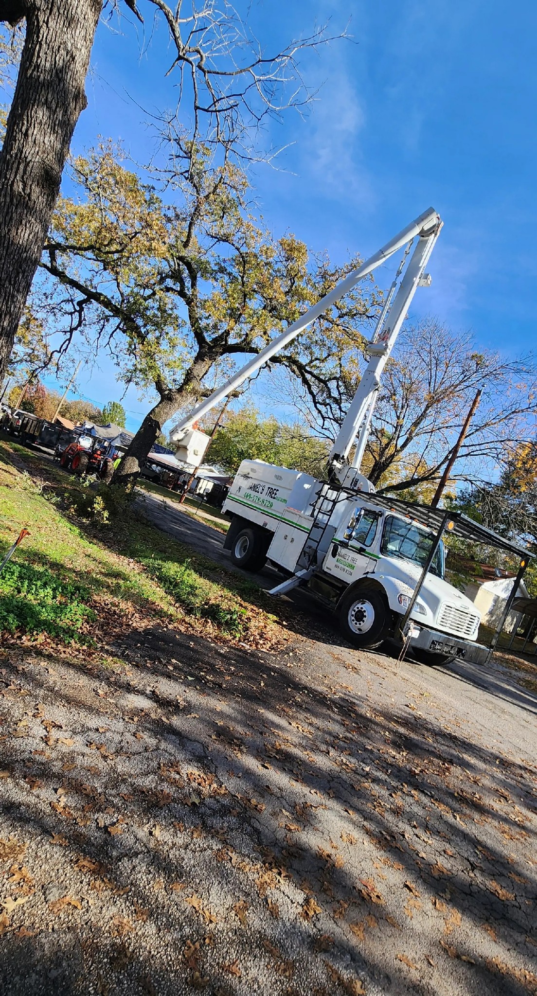 Daniel's tree expert | Terrell TX
