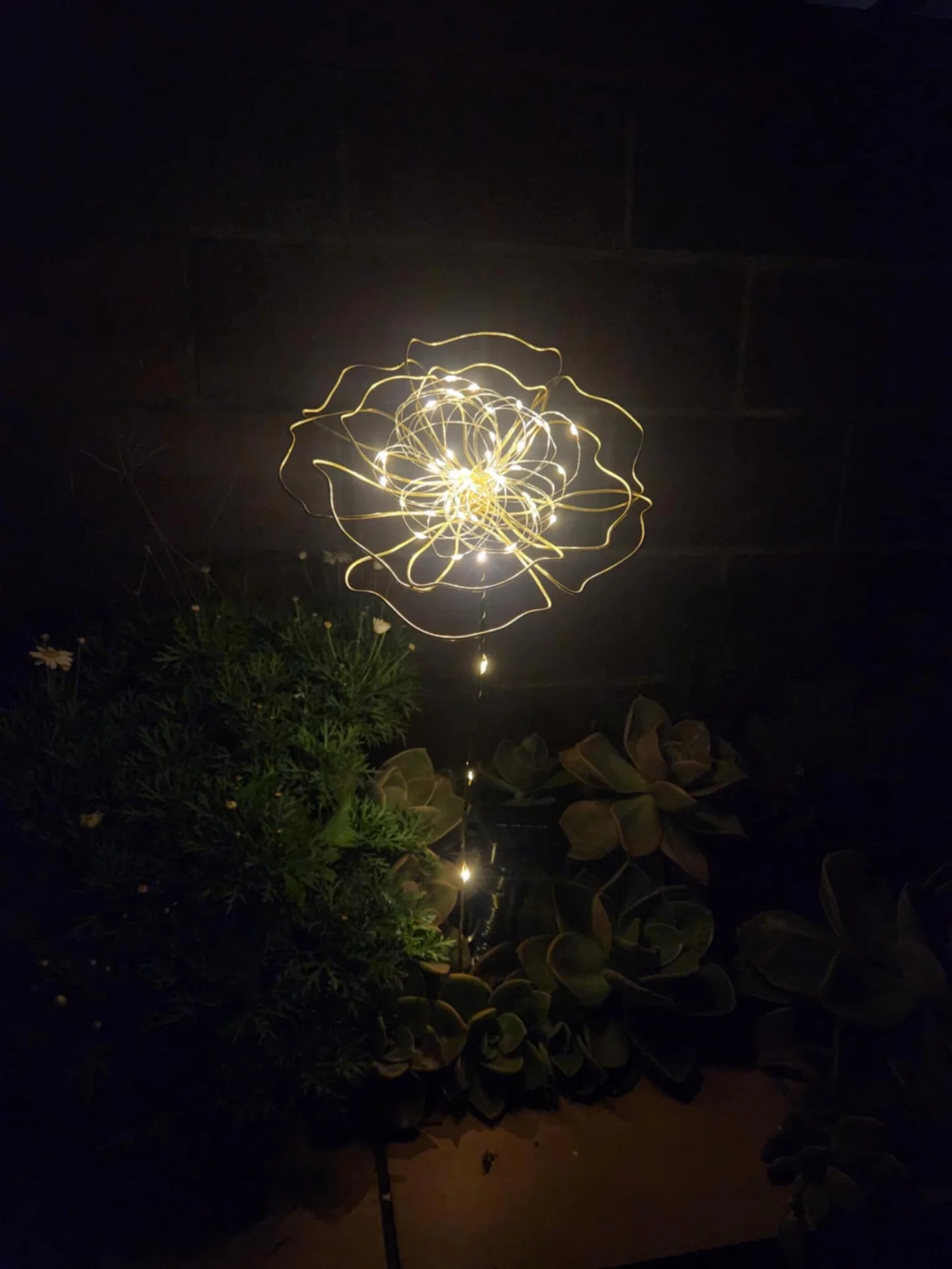 Wire & Bloom Studio