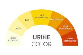 glutathione turning pee bright yellow Daily vitamin that won't change urine color? The Dassie - Table سيروم مرطب للبشرة الجافة Size:120 capsules