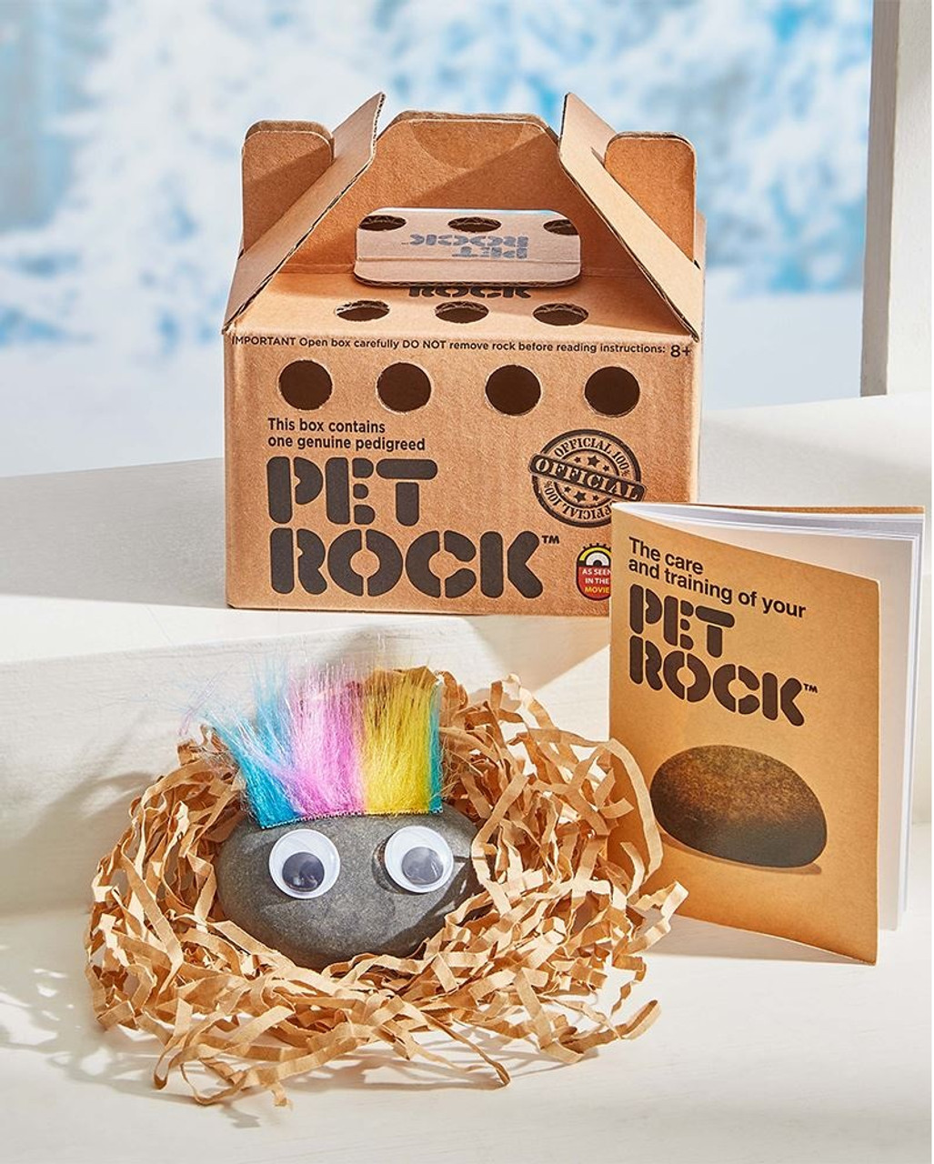Historic - The invention of the pet rock in 1975 was an idea Gary Dahl ...