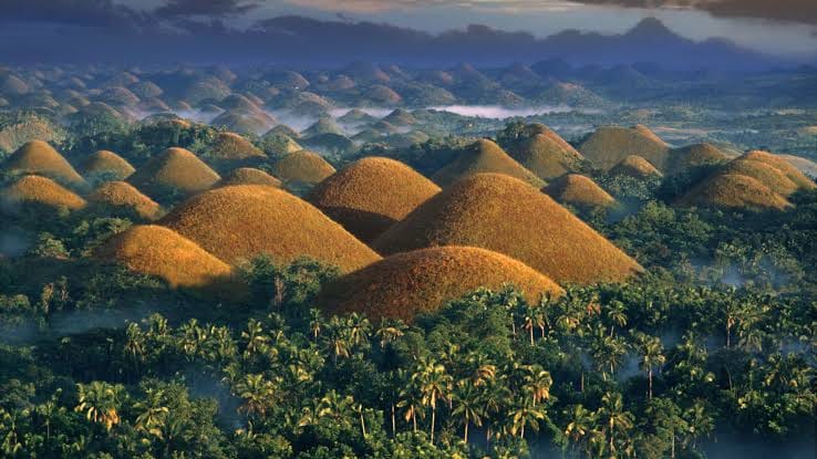 Dyrd Bohol Radio | Cortes