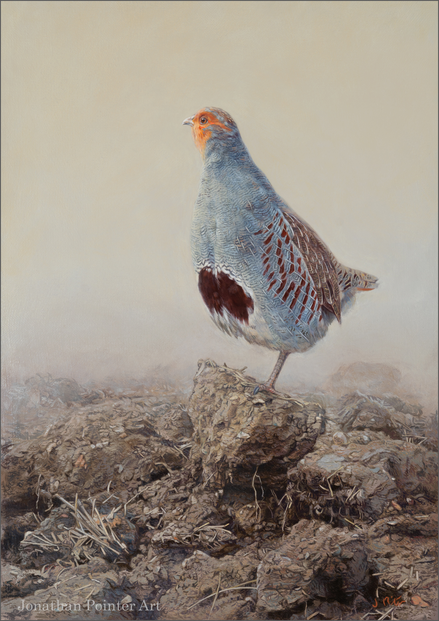Jonathan Pointer Art