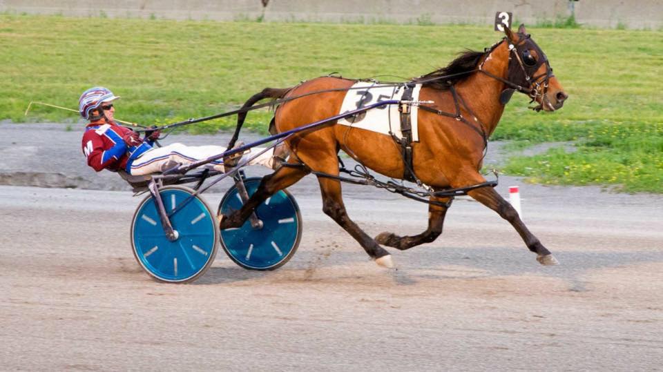 Iowa Harness... - Iowa Harness Horseman's Association