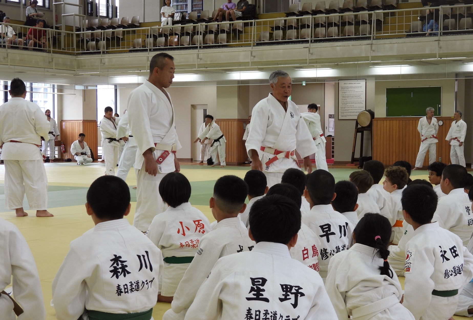 Judo Kodokan Hidalgo