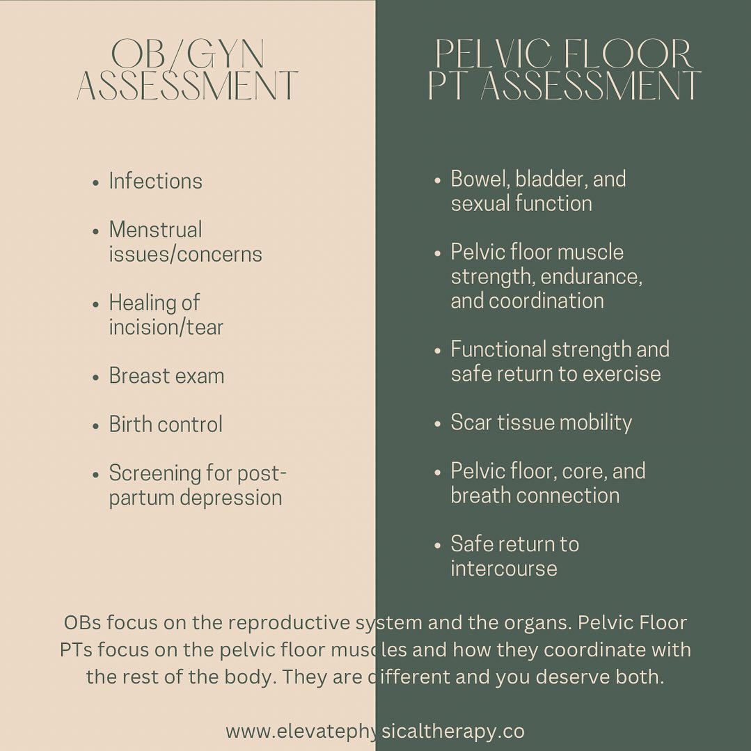 Elevate - The differences between an OB assessment and a Pelvic Floor ...