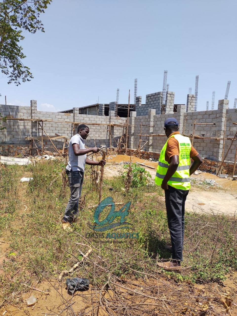 Oasis aquatics uganda... - Oasis aquatics uganda limited