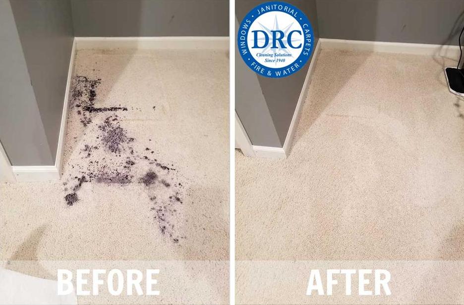 DRC Cleaning Solutions | Romulus MI