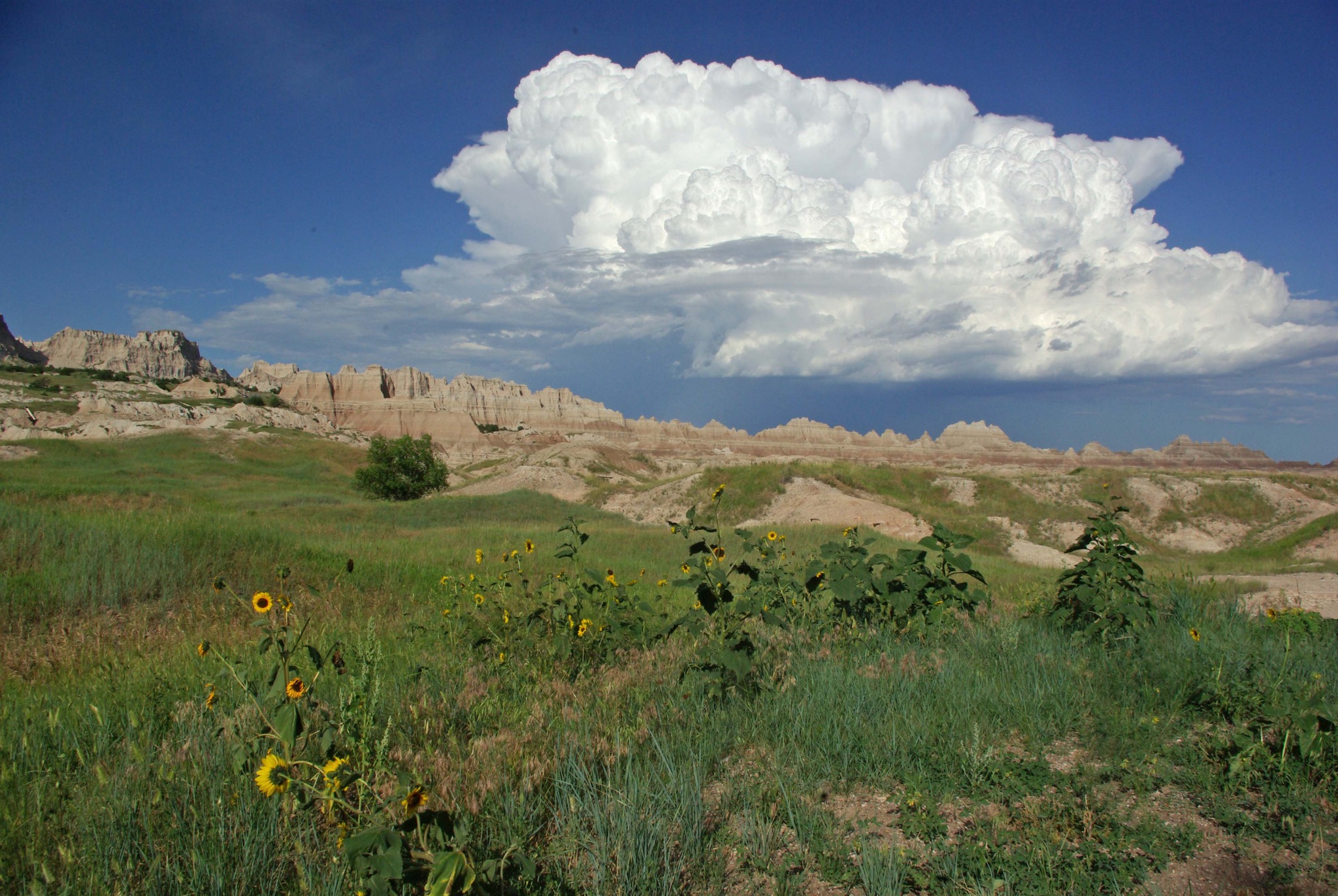 Badlands - On this World Environment Day, we’re shining a light on one ...