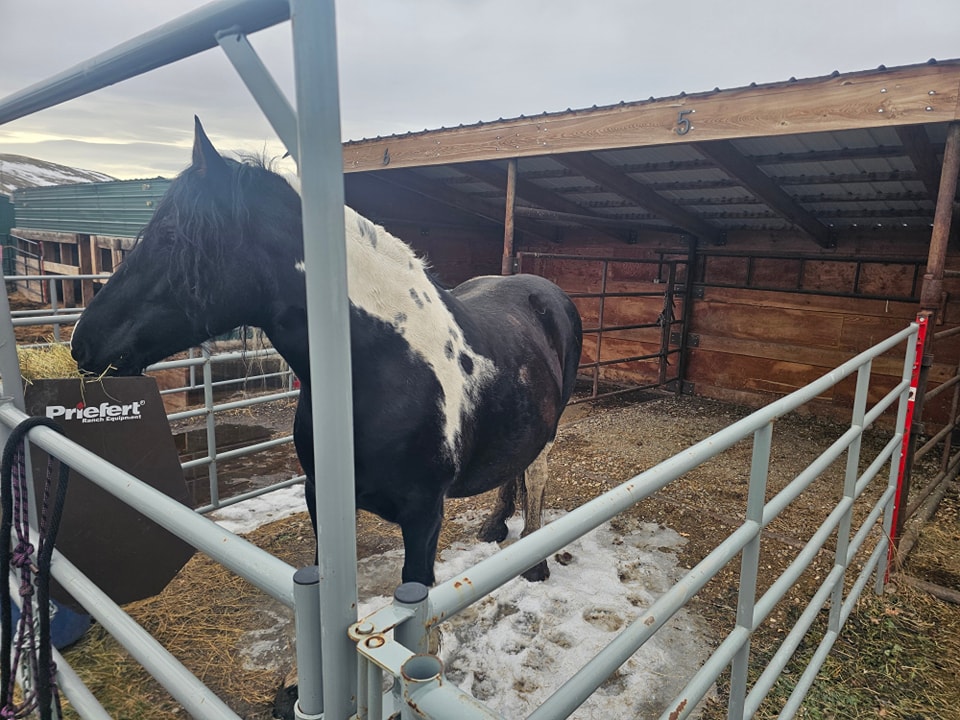 Johnson's Corner Ranch | Sand Coulee MT