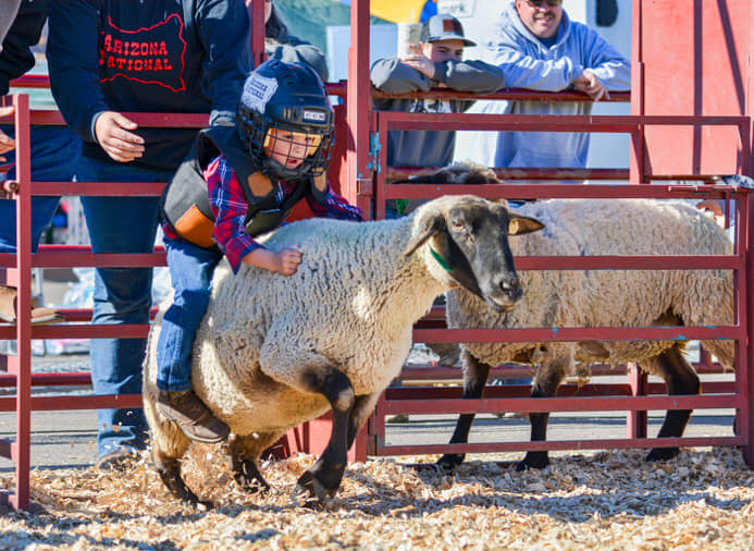 JK Livestock & Rodeo Company