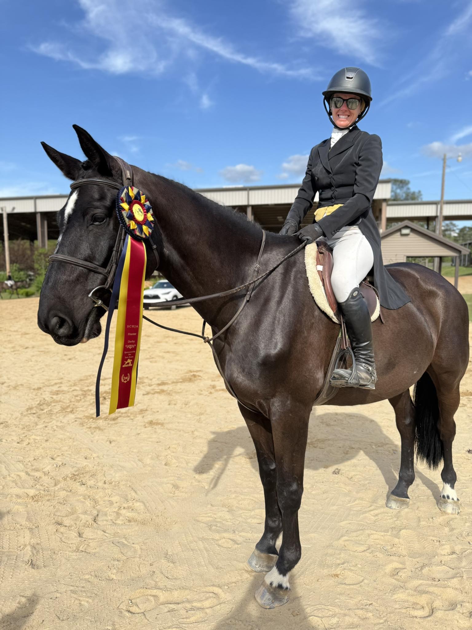 South Carolina Hunter Jumper Association | Columbia SC