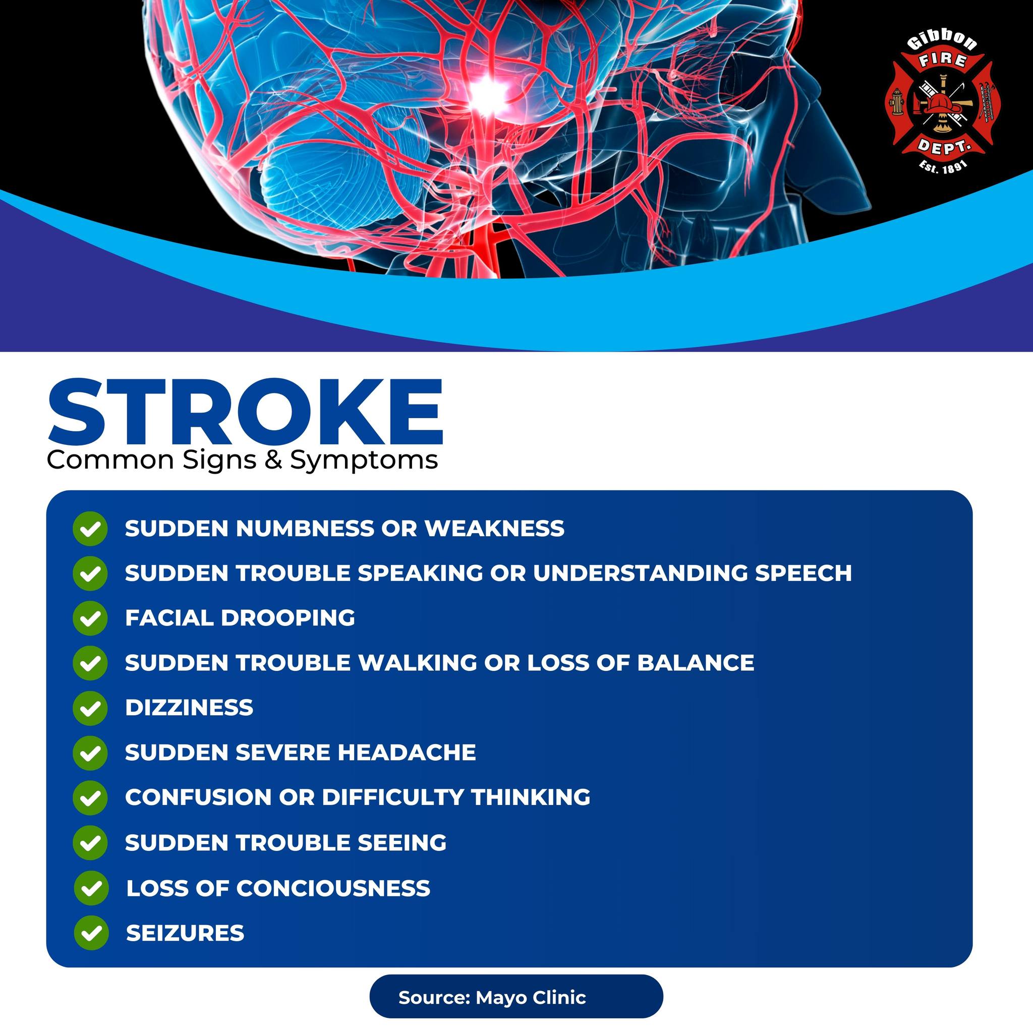Gibbon - This week's medical emergency topic is Stroke. A stroke, also ...