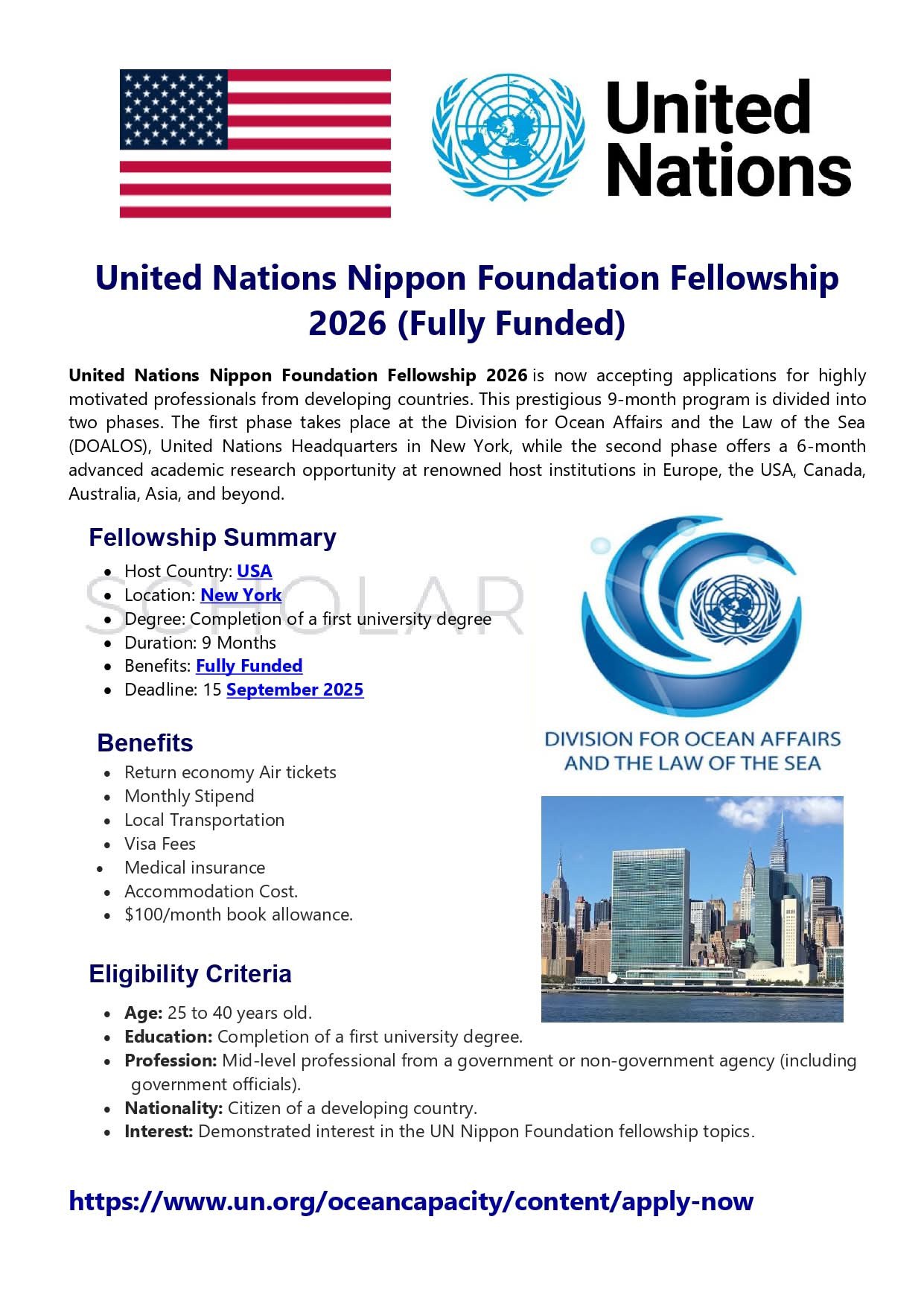 Scholarship - United Nations Nippon Foundation Fellowship 2026 | Fully ...
