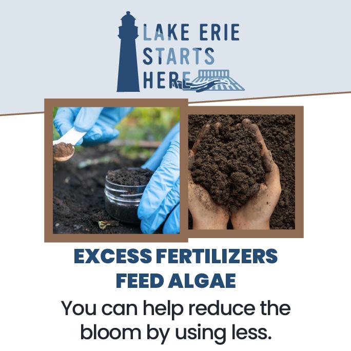 City - Did you know that applying excess fertilizers can actually ...