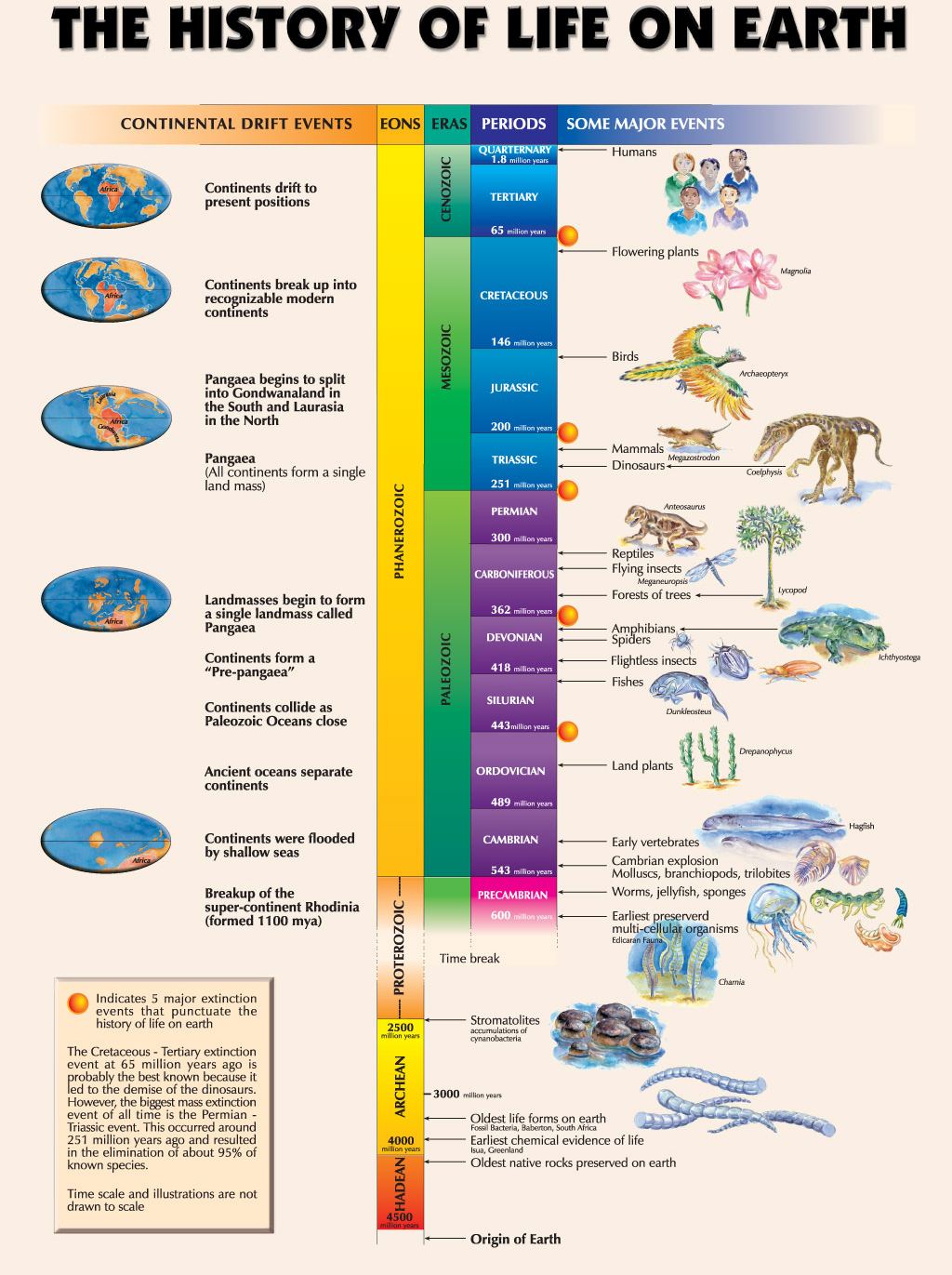 Ceres Science - History of Life on Earth poster shared in... | Facebook
