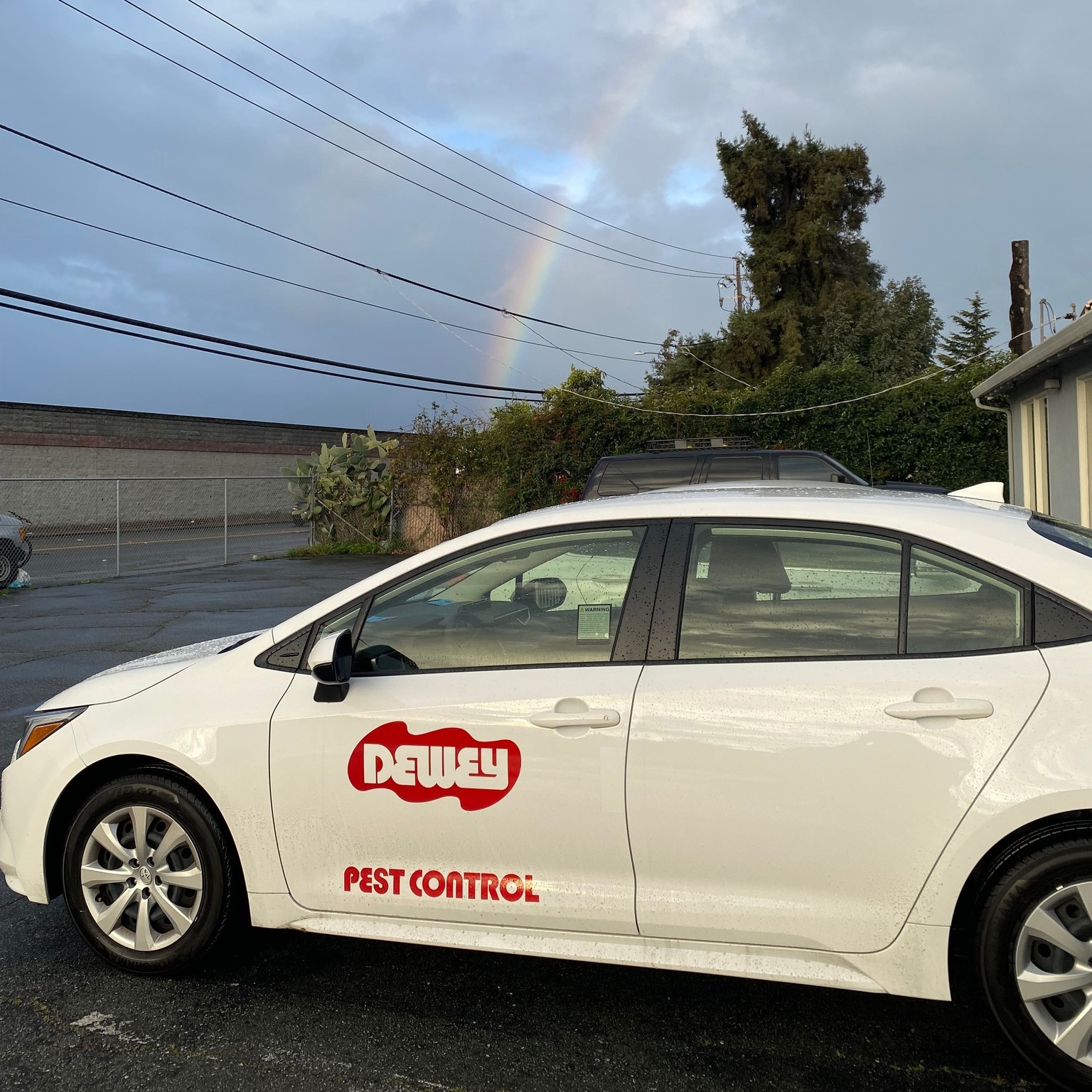 Pest Control Pasadena Ca