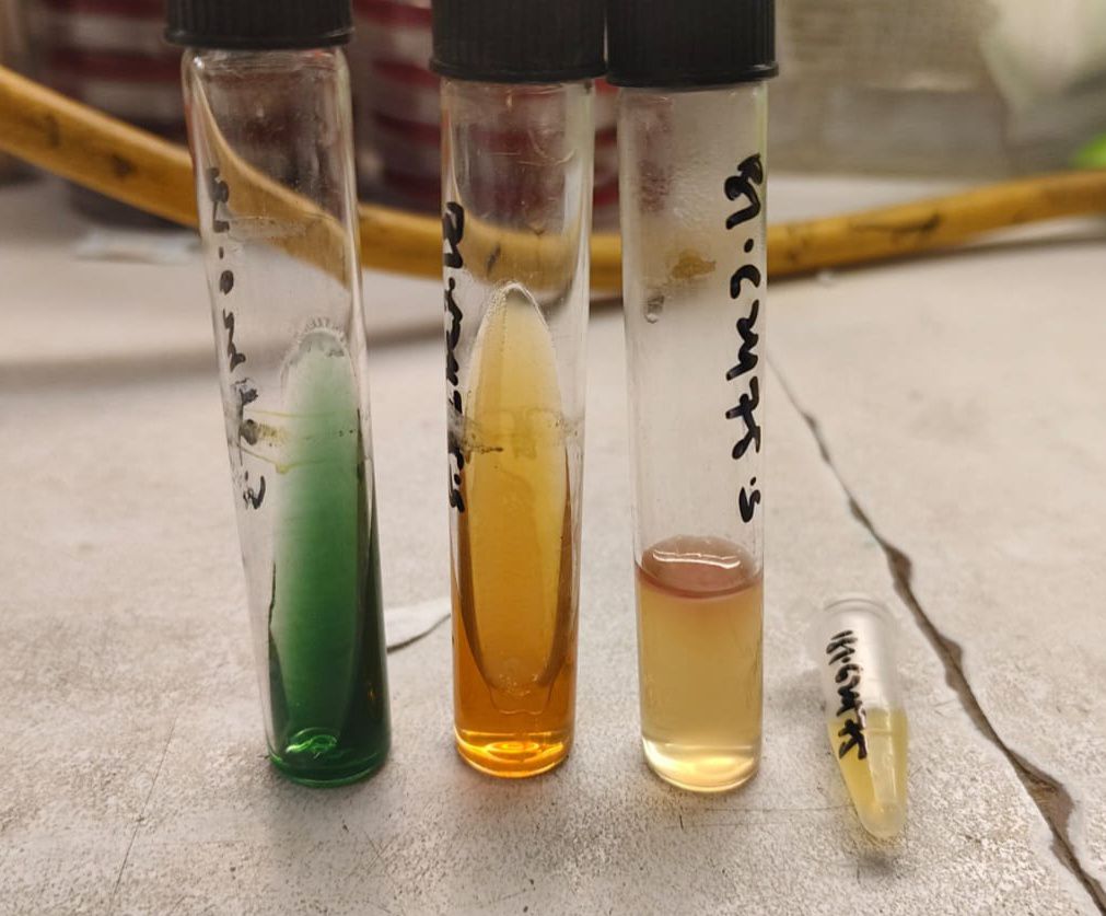 Ali Clinical Laboratory Deolai | Swat
