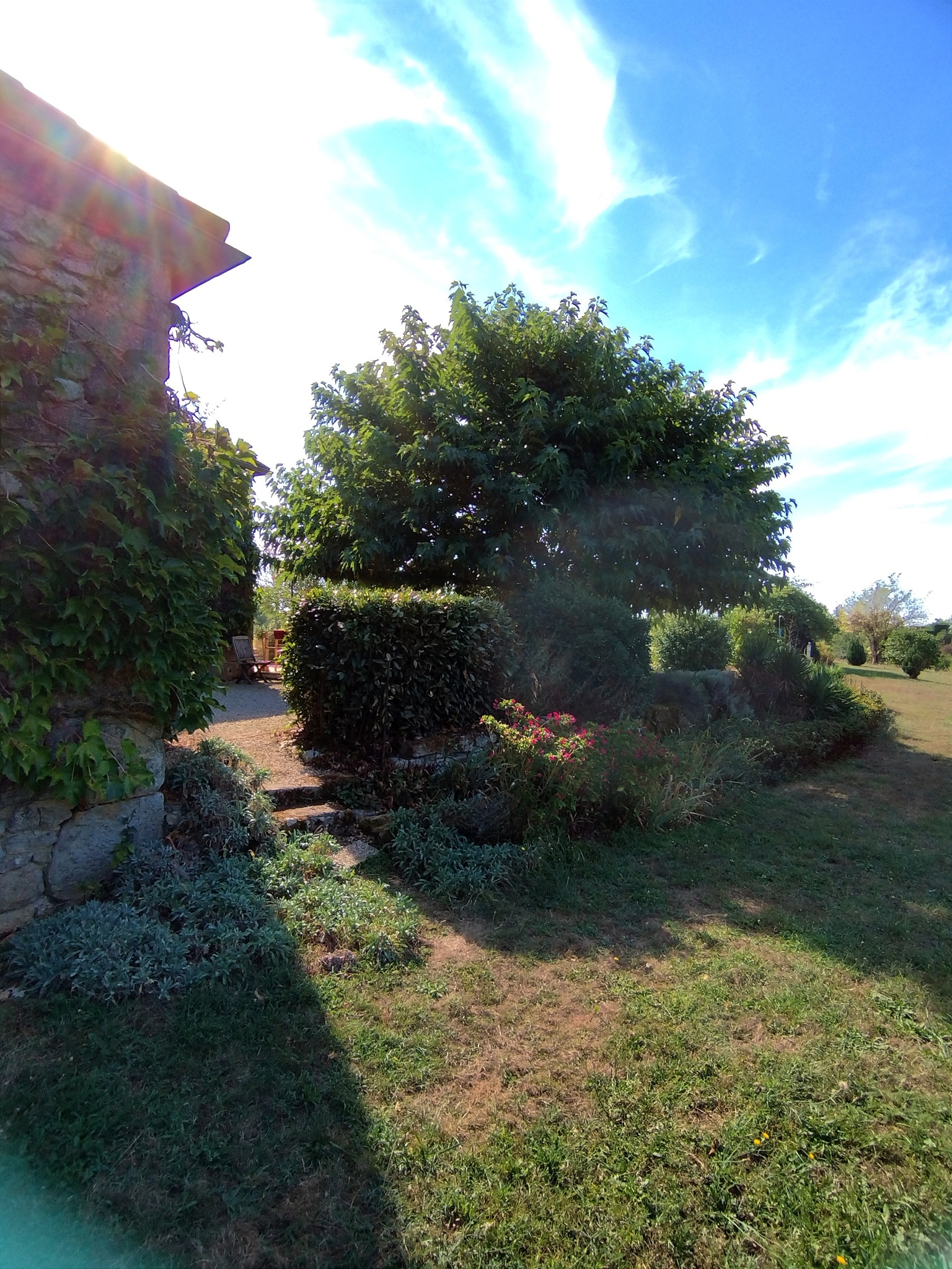 Domaine de Coulougnac -... - Domaine de Coulougnac - Thenon