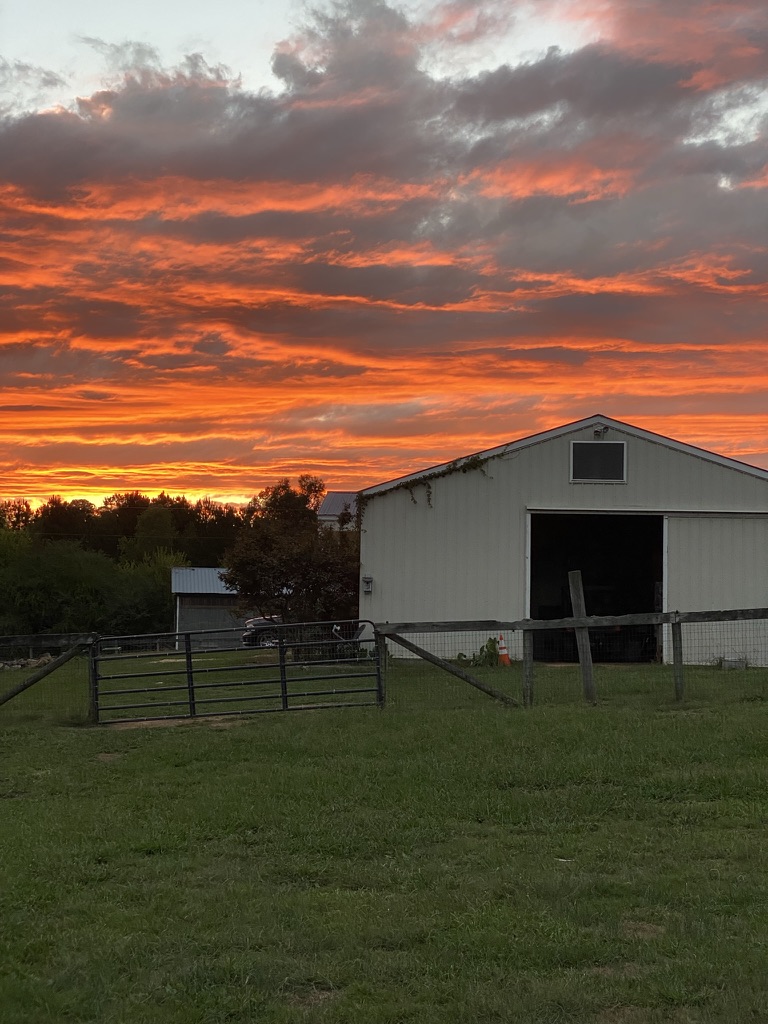 Black Star Ranch LLC